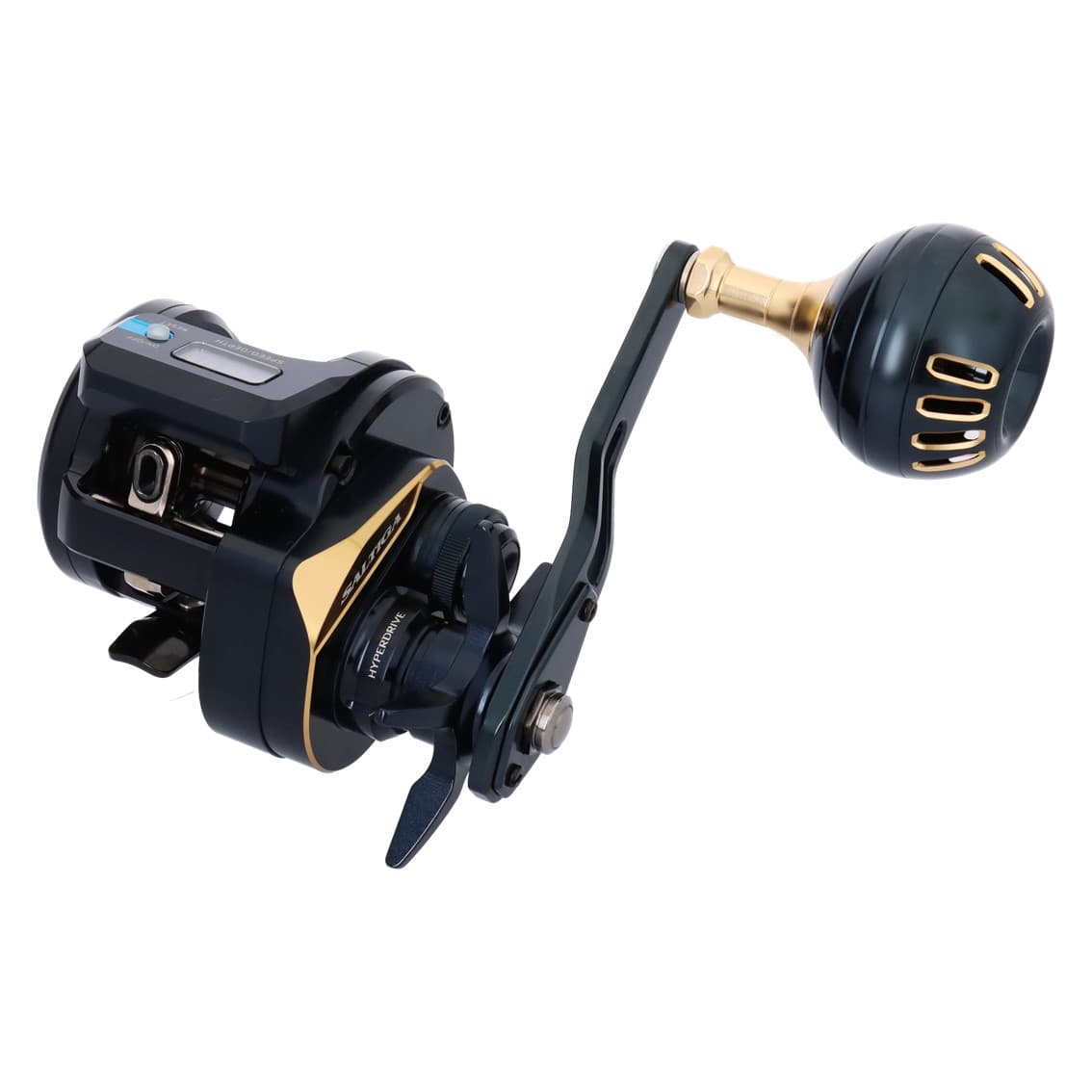 Daiwa 25 Saltiga IC 300L-C