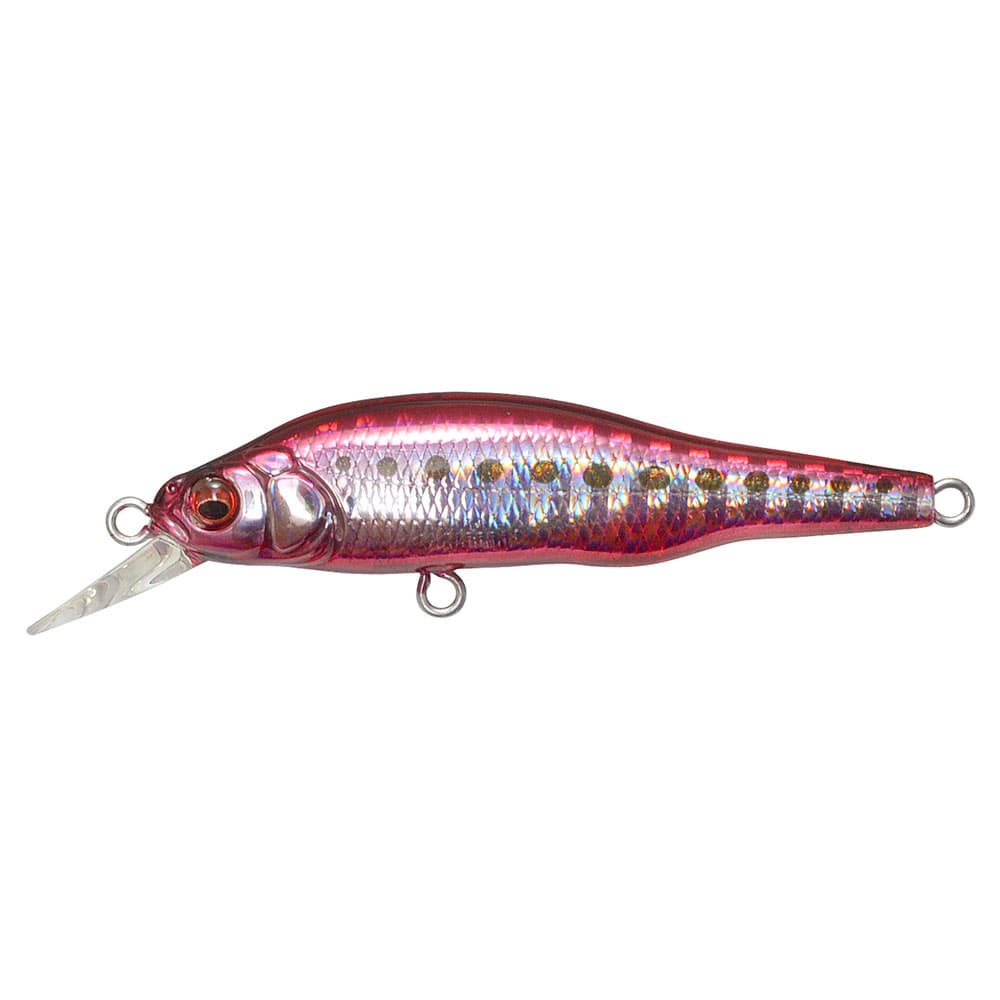 Megabass X-80 Jr. SW GG Heat Sardine