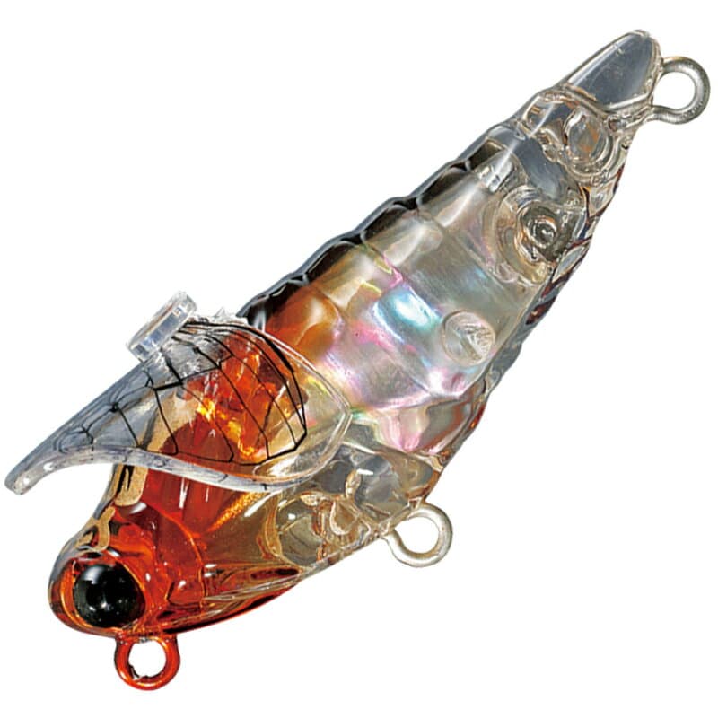 Smith Daibisen Shell 43mm 31 Haruzemi Short