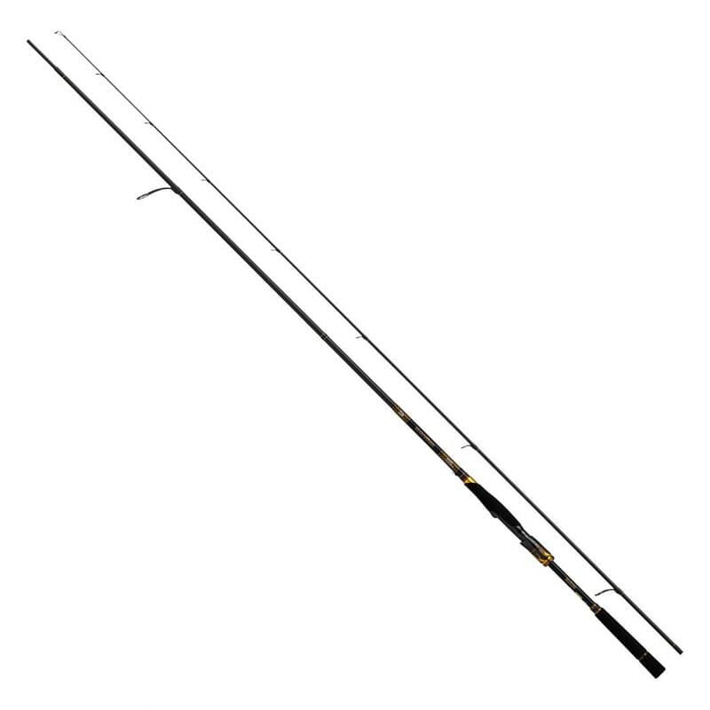 Daiwa 21 Morethan Branzino EX AGS 98M/MH Power Stream Custom 98