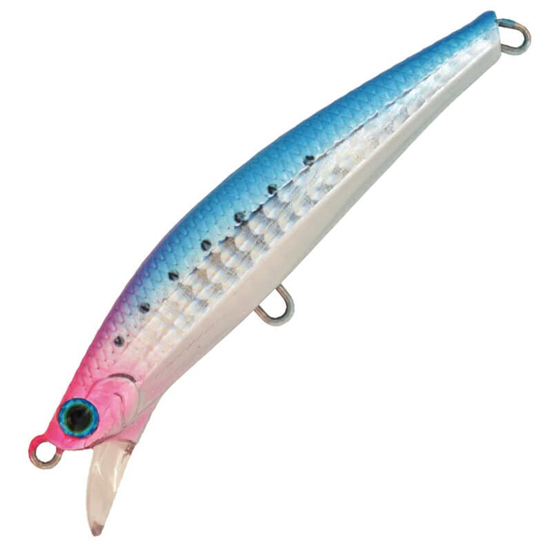 Jackson Seabass Lure Pintail Sagoshi Tune 20g NGR Rise Blue Pink