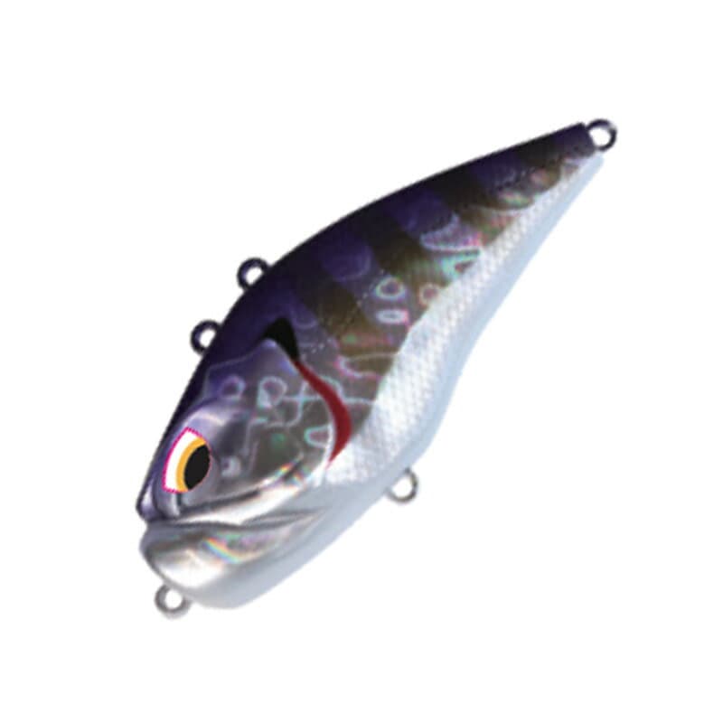 Valleyhill Giganot 72mm 04 Purple Gill