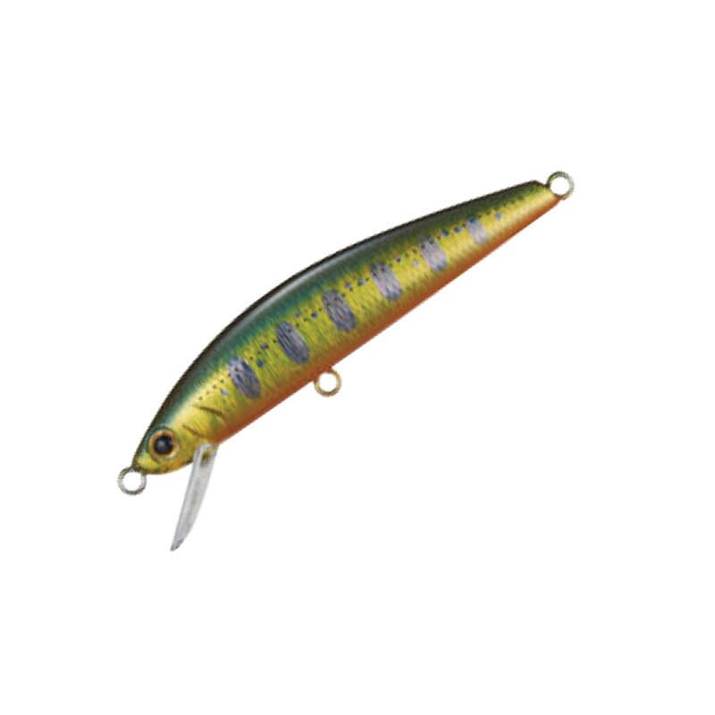 Jackson Trout Tune 55 AKY Akakin Yamame