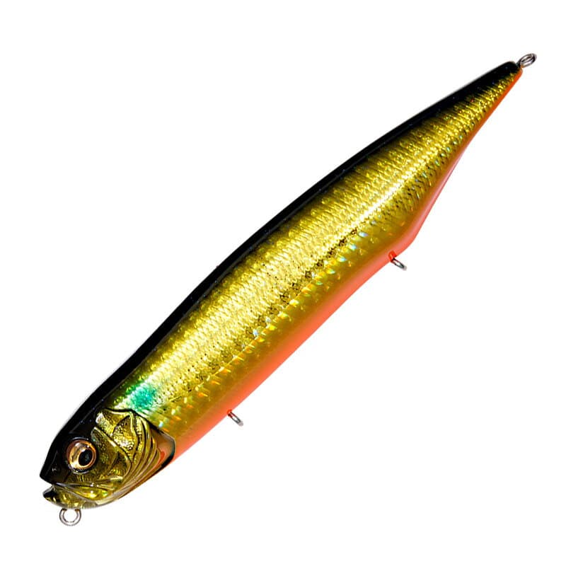 Megabass DOG-X Diamante SW #GG Kin Bora