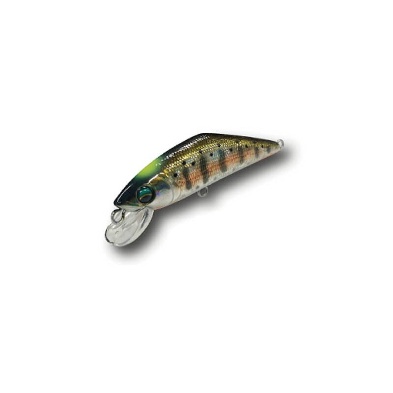 Smith D-Contact 50mm 48 Adult Yamame