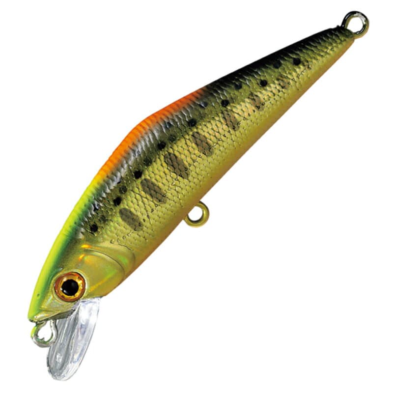 Smith D-Contact 50 #52 CG Indicator