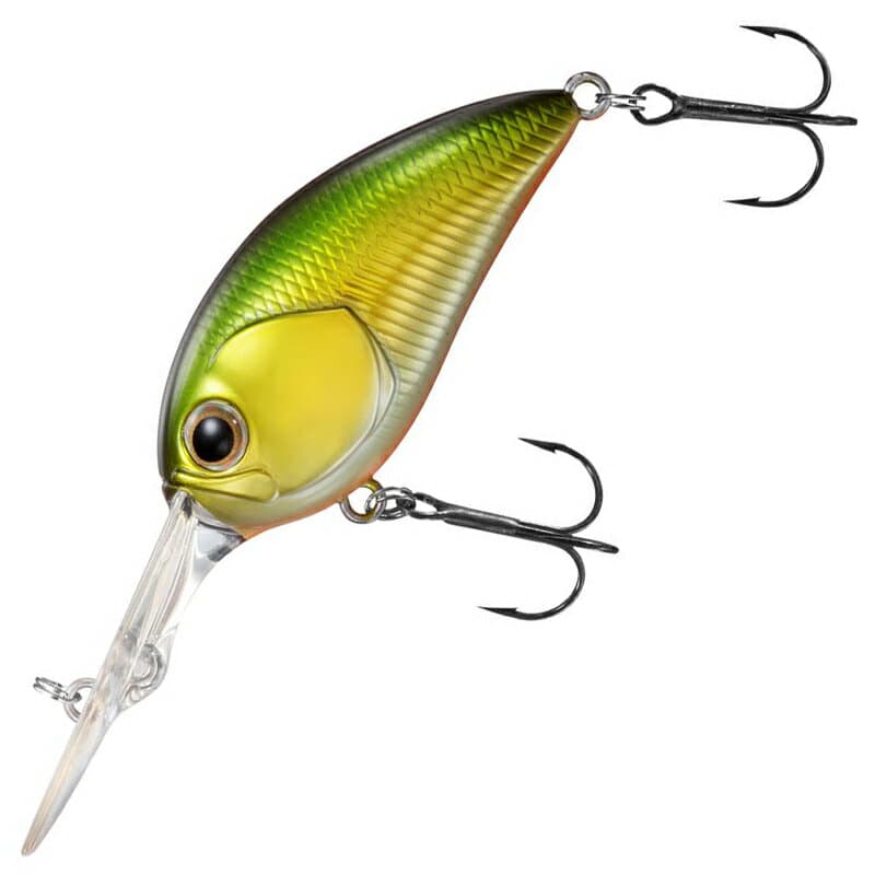Daiwa 23 Steez Crank 200 Lake Biwa Gold