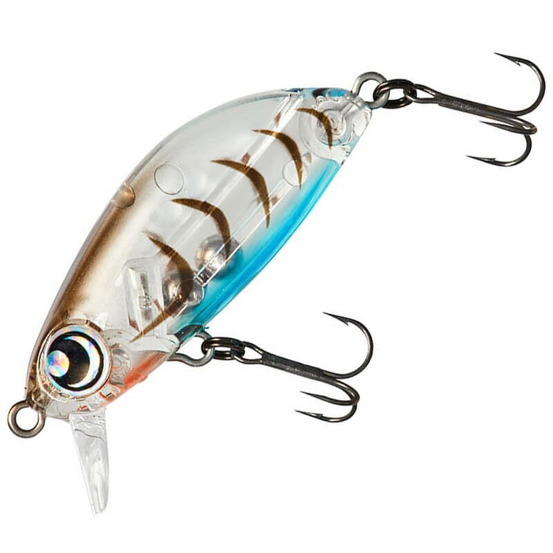 Daiwa Saltwater Plug Gekkabijin Gengoro Z 36S Egg-carrying shrimp