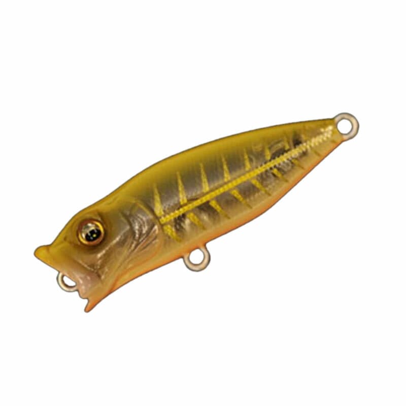 Megabass Baby POP-X 50mm Modena Born OB
