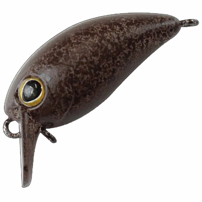 Timon Chibi Panicra DR 25mm Tacky Brown