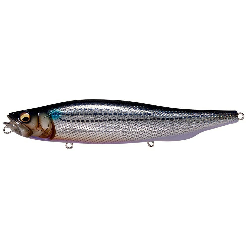 Megabass Megadog #Urado Mullet