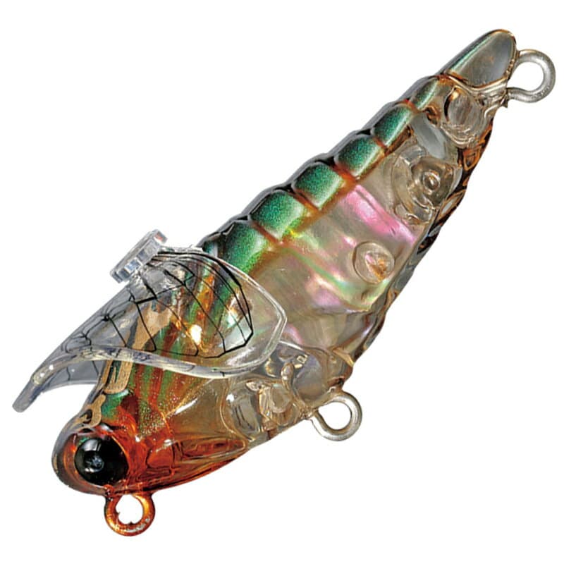 Smith Daibisen Shell 43mm 38 Majola