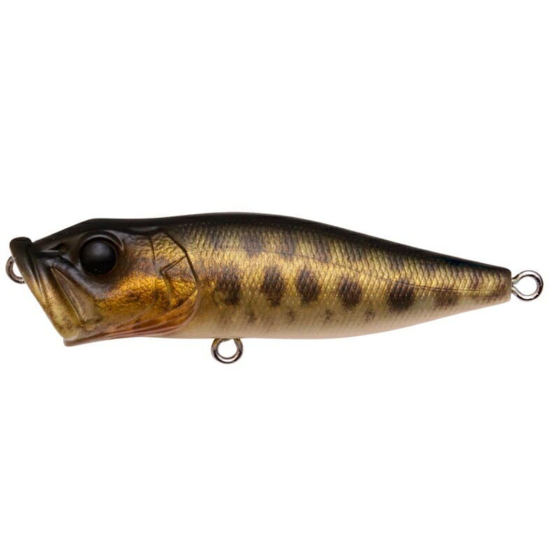 Megabass POP-X 64mm FA Baby Raigyo