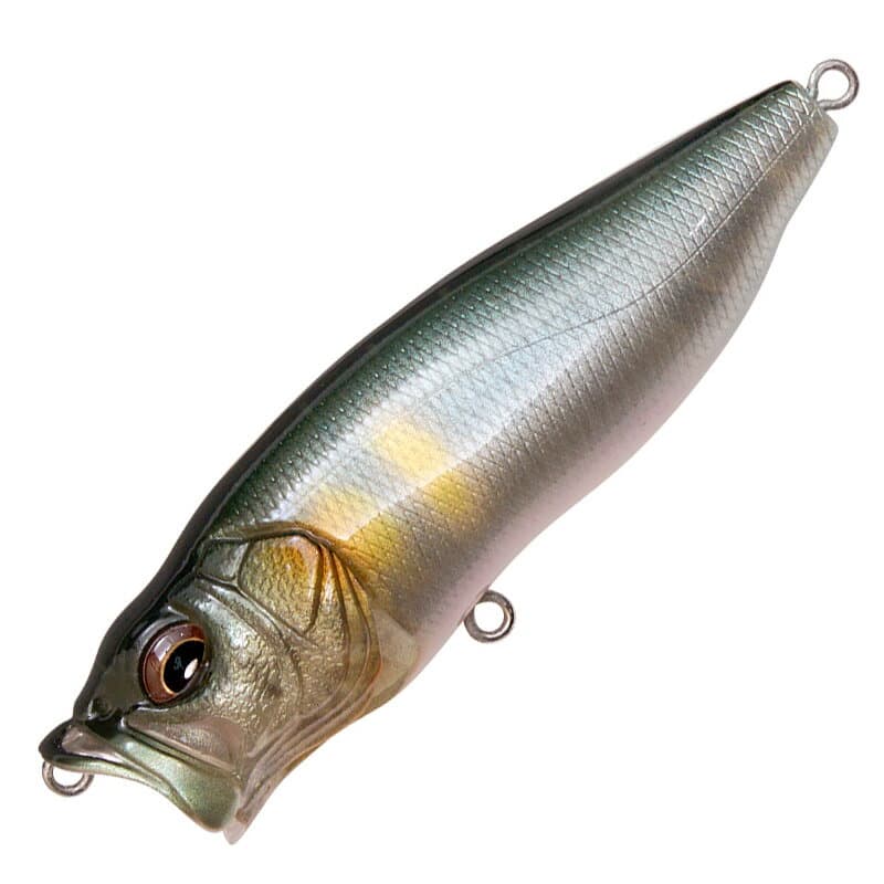 Megabass POP MAX 78.0mm FA Wakayu