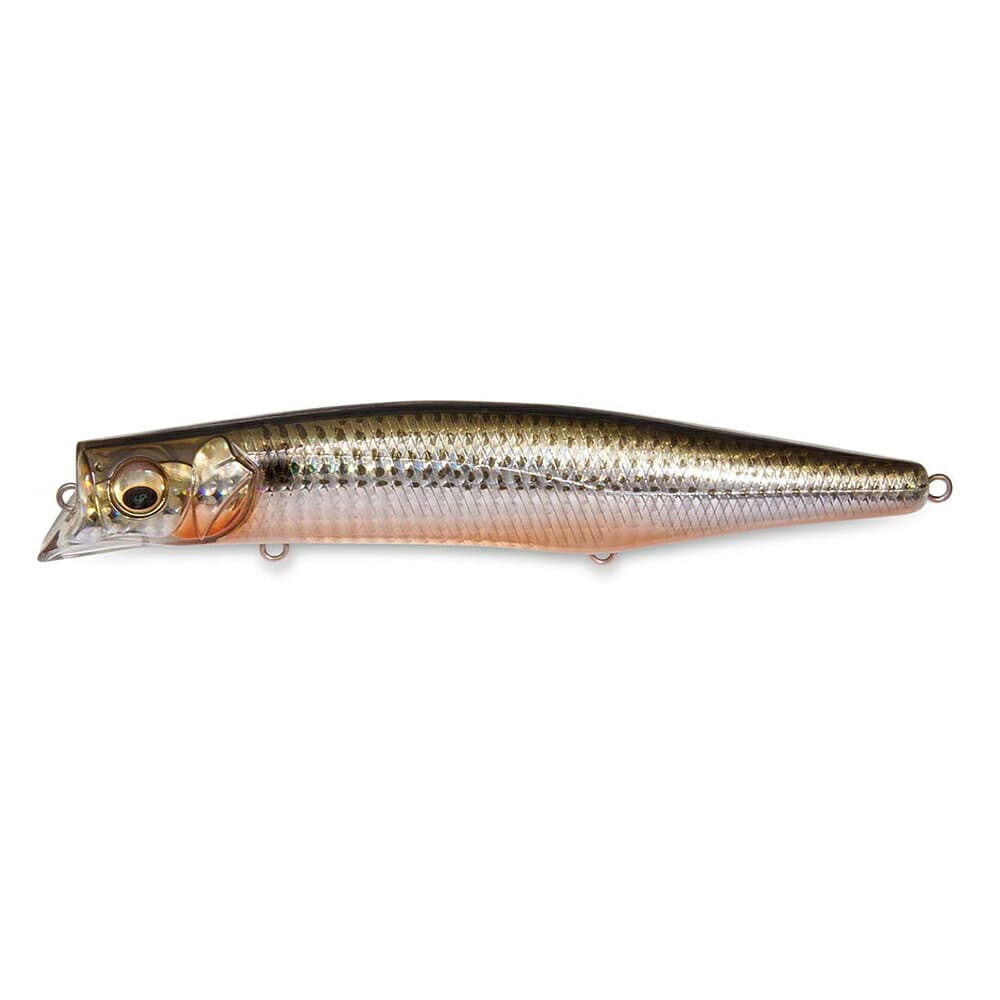 Megabass Seabass Lure Kagelou MD 156F GG Gizzard shad