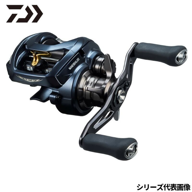 Daiwa 22 STEEZ A2 TW 1000XHL