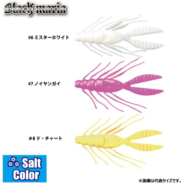 ブラックマリア ゴキブリ 3.4インチ ソルトカラー 【2個までメール便OK】