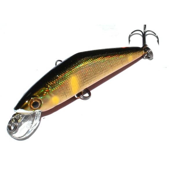 Smith D-Contact 50 #24 G Ayu