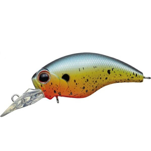 Evergreen Wild Hunch SR #381 Bleeding Sunfish