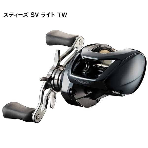 Daiwa 26 Steez SV Light TW 100H
