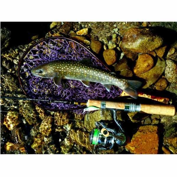 Daiwa Silver Creek Trad 410XUL