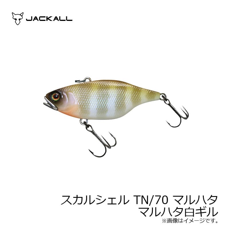 Jackall TN 70 Skull Shell Maruhata Shiro Gill