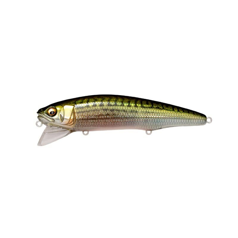 Megabass Seabass Lure Sazanka 140F FA Mackerel