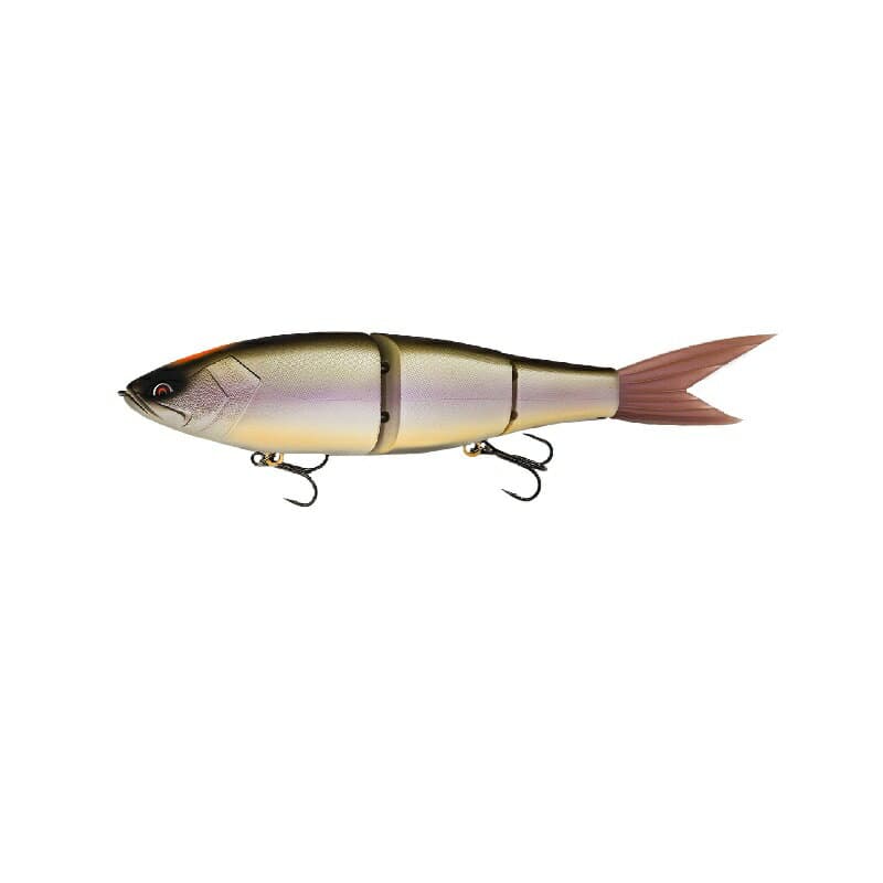 Galapagos Grace 280S 18 Biwako SPEC-V