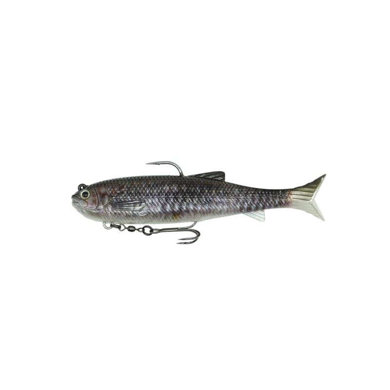 Dstyle Worm Virola Swimbait 145 Carp PTD