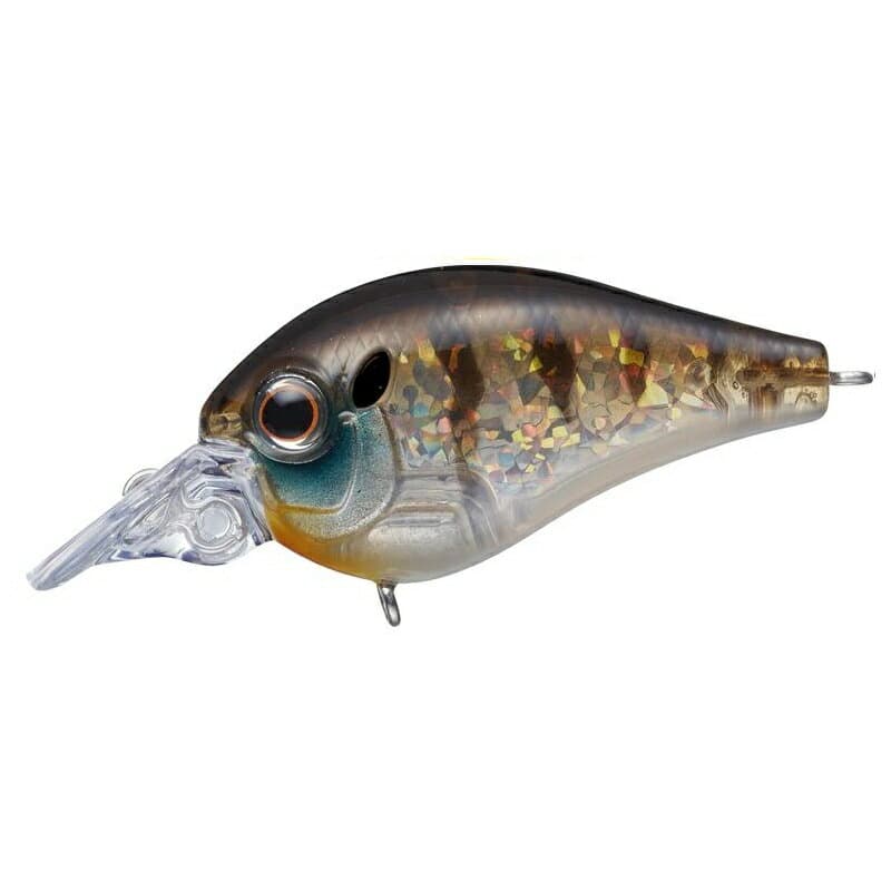Evergreen Bass Lure MoDO Piccolo Dive Shallow #246 Young Gill