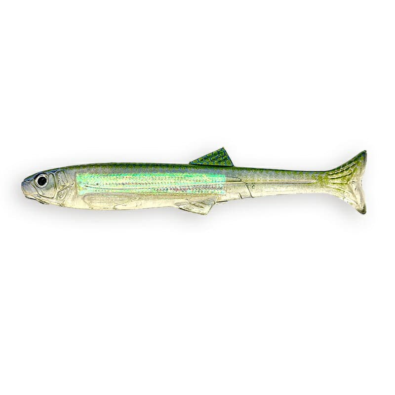 Imakatsu Worm Huddle Swimmer 4inch Flash plate & Real color #S-624 Blue Stripe Shad (Rainbow)