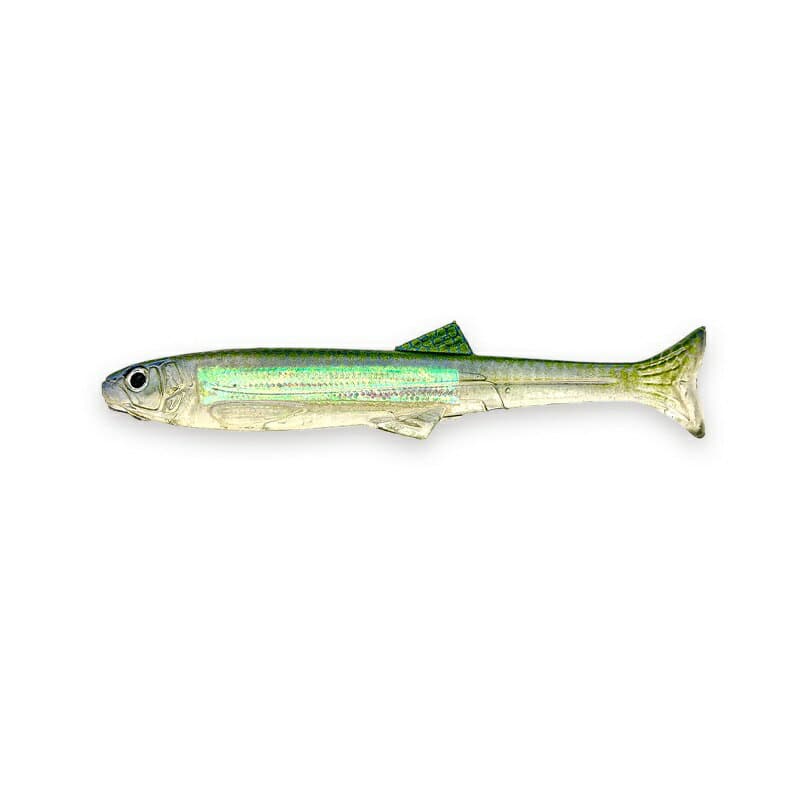 Imakatsu Worm Huddle Swimmer elastomer 4inch Flash plate & Real color #S-624 Blue Stripe Shad (Rainbow)