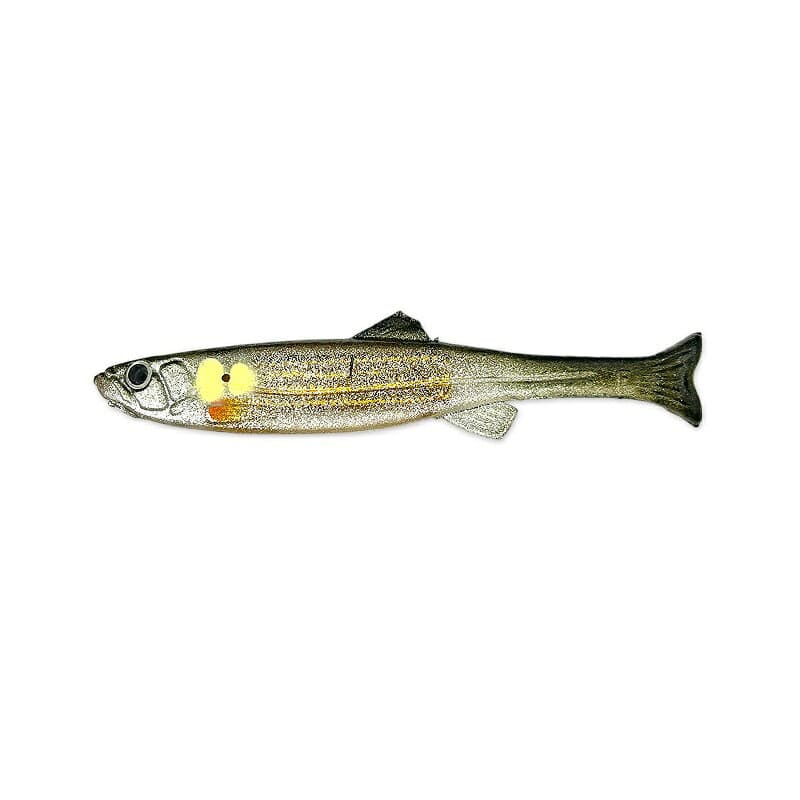 Imakatsu Worm Huddle Fat Fly elastomer 2.8inch Flash plate & Real color #S-626 Clear Sweerfish (Gold)