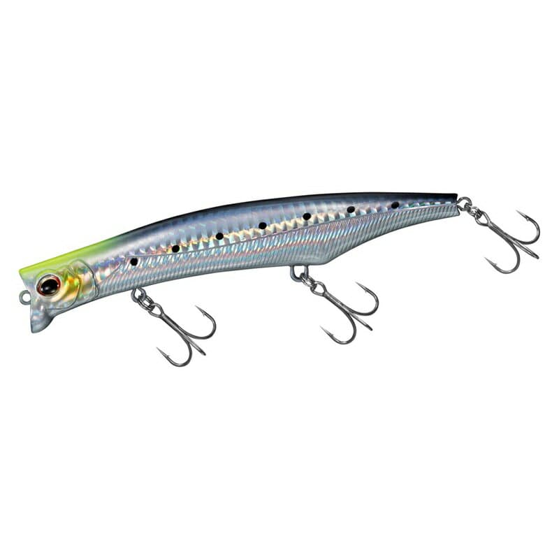 Daiwa Morethan Sharoll 126F-SSR Charthead Sardine