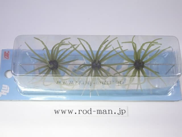 Hideup Kyu Coike #101 Watermelon