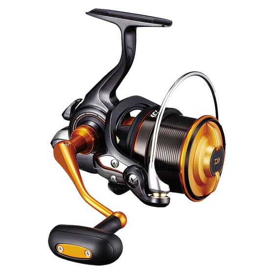 Daiwa Castizm 25 15PE
