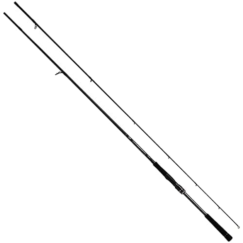 Daiwa 21 Labrax AGS 93M