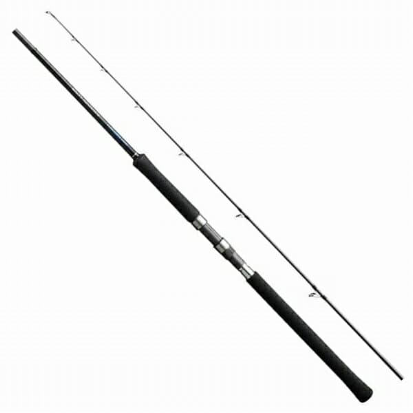 Shimano 19 Salty Advance Shore Jigging S100H