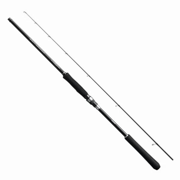 Shimano 19 Salty Advance Seabass S106M