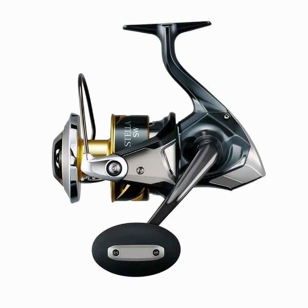 Shimano 25 Stella SW 10000PG