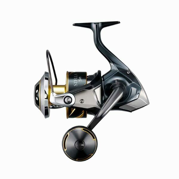 Shimano 25 Stella SW 10000HG