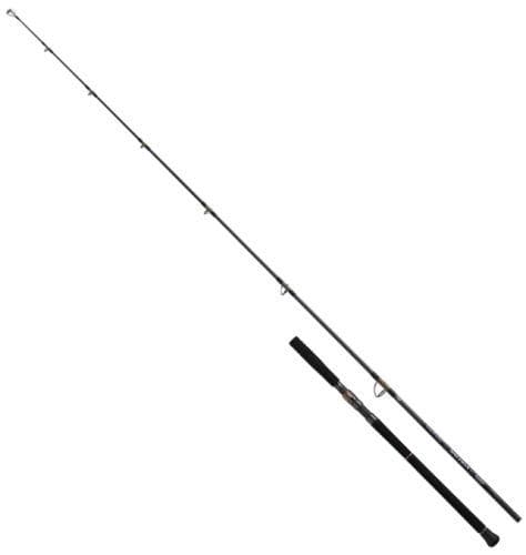Daiwa 26 Saltiga C Bullswing 83-5