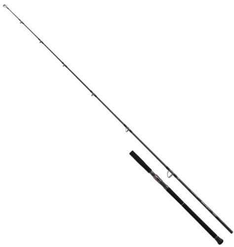 Daiwa 26 Saltiga C Bullswing 85-6