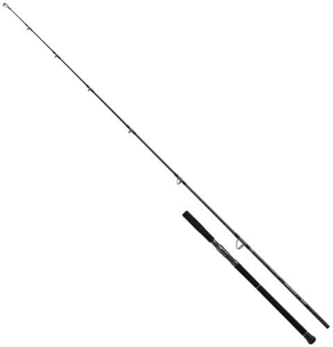 Daiwa 26 Saltiga C Bullswing 88-8