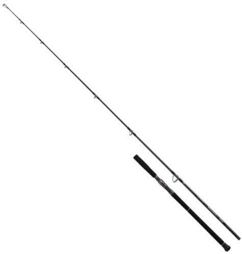 Daiwa 26 Saltiga C Bullswing 80-10
