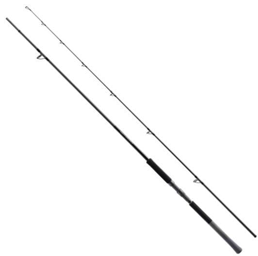 Shimano 25 Salty Advance Shore Model S100M