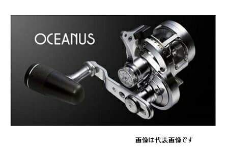 Evergreen Oceanus Right
