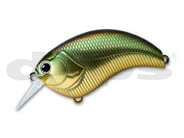 Deps Evoke 2.0 #12 Golden Shiner