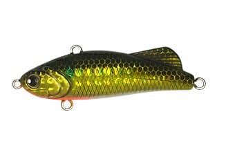 Longin Seabass Lure Funkey Dart 66S 16.5g #S071 LN Gold Bora (Lens)