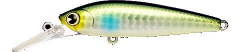 ima Seabass Lure ataru 70S #AT70-004 Kawa bait
